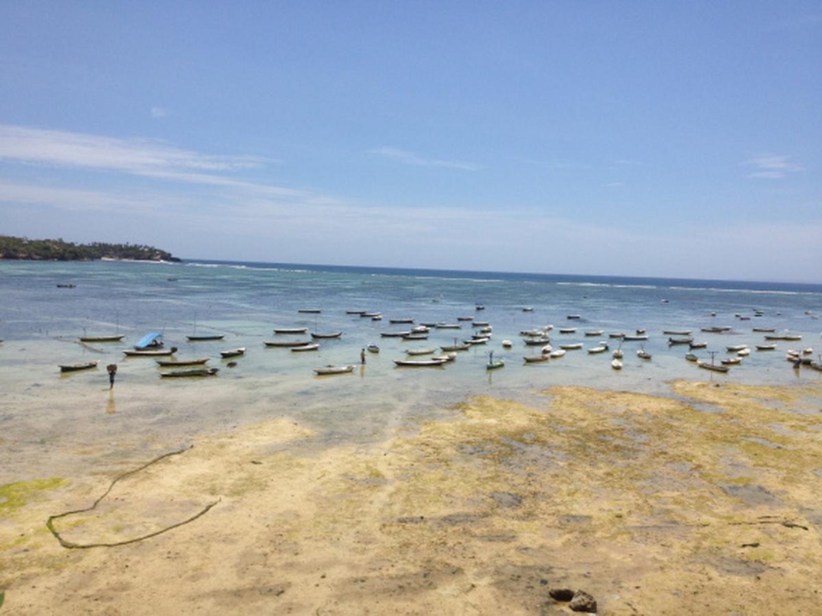 Lembongan Hostel Nusa Lembongan Exteriör bild